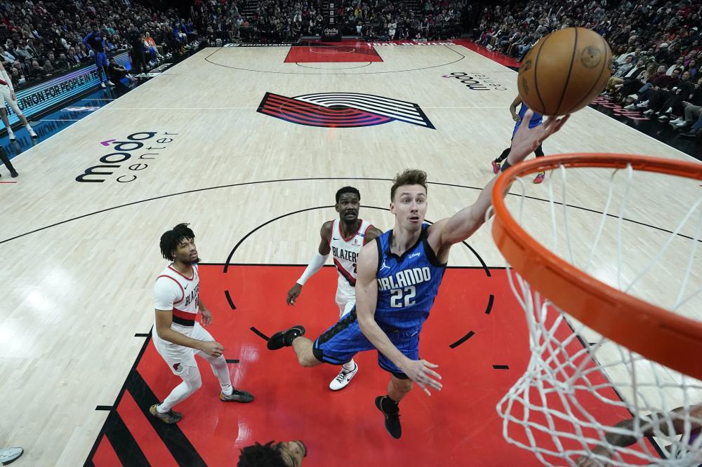 彼时灰熊通 彼时灰熊通